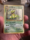 Victreebel