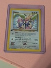 Aipom