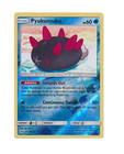 Pyukumuku