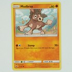 Mudbray