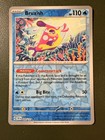 Bruxish