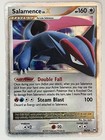Salamence LV. X