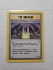 Pewter City Gym