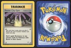 Pewter City Gym