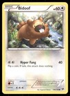 Bidoof
