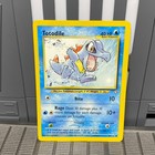 Totodile