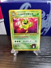 Erika's Victreebel