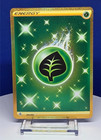 Grass Energy