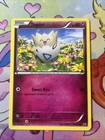 Togepi