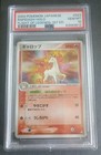 Rapidash