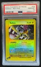 Raikou