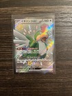 Squawkabilly ex