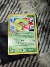 Meganium