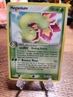 Meganium