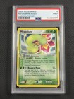 Meganium