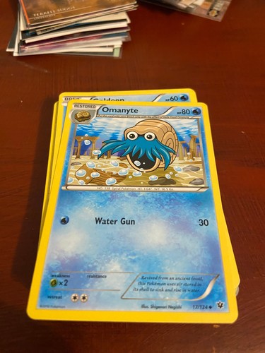 Omanyte