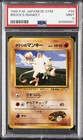Brock's Mankey