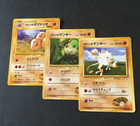Brock's Mankey