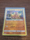 Sudowoodo