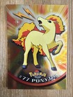 Ponyta