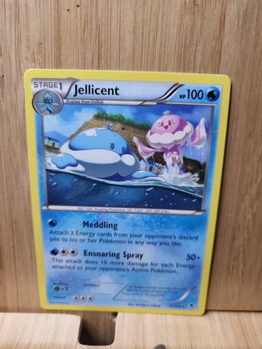 Elite Trainer Box