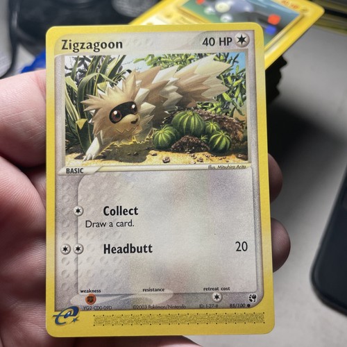 Zigzagoon
