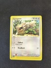 Zigzagoon