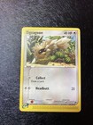 Zigzagoon
