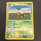 Turtwig