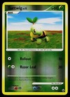 Turtwig
