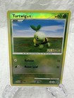 Turtwig
