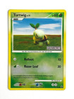 Turtwig