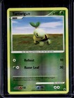 Turtwig