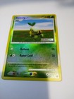 Turtwig