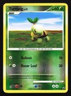 Turtwig
