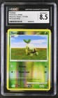 Turtwig