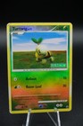 Turtwig