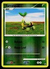 Turtwig