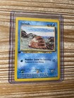 Swinub