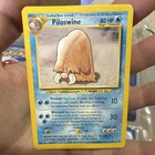 Piloswine