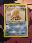 Piloswine