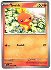 Torchic