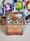 Torchic