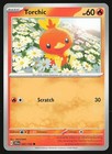 Torchic
