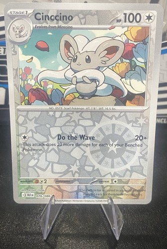 Cinccino