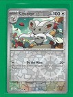 Cinccino