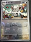 Cinccino