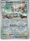 Cinccino