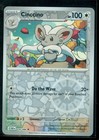 Cinccino
