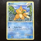 Buizel